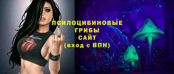 СК Снежногорск
