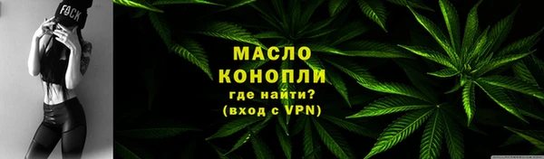 СК Снежногорск