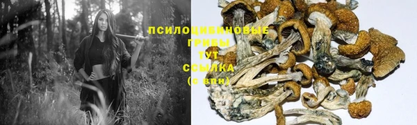 не бодяженный Бронницы