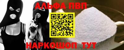 СК Кингисепп