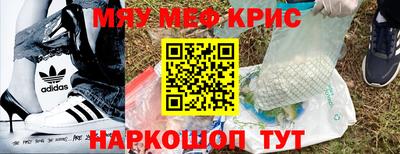 СК Кингисепп