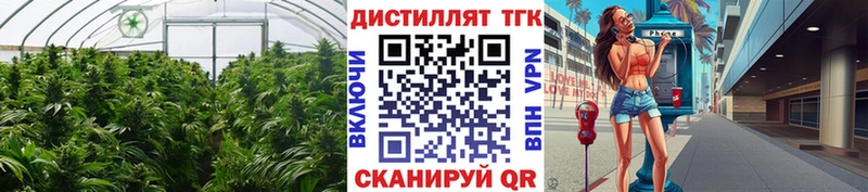 Дистиллят ТГК THC oil  Медногорск 