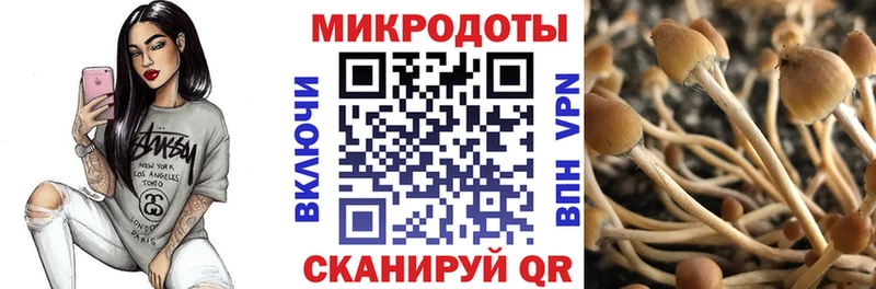 Галлюциногенные грибы прущие грибы  ссылка на мегу вход  Медногорск 