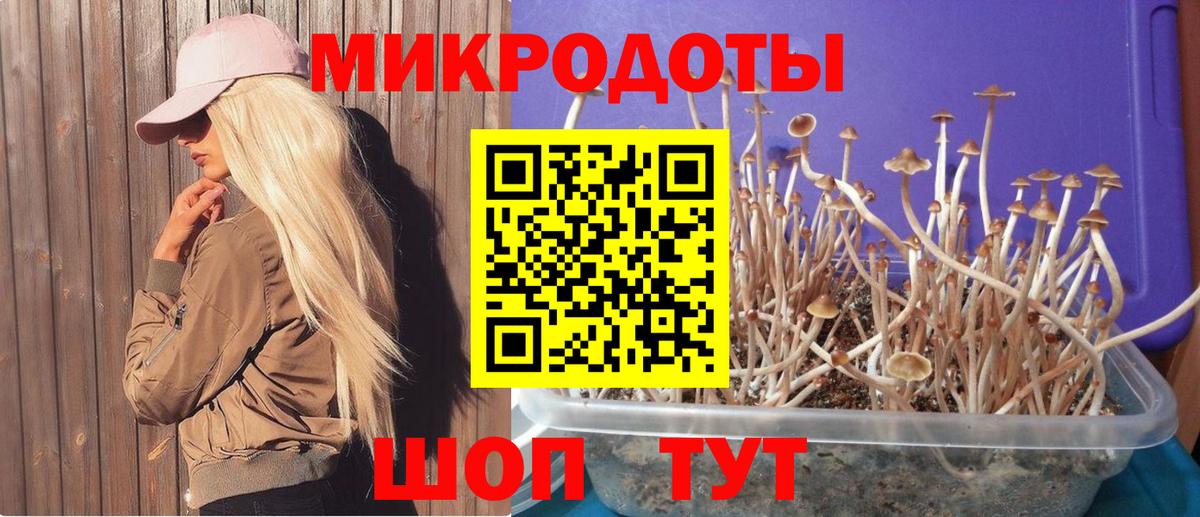 Медногорск  Псилоцибиновые грибы мухоморы  где продают   Вход с VPN 